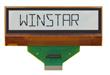 Display Winstar WATN001001BFW E-paper 10x1